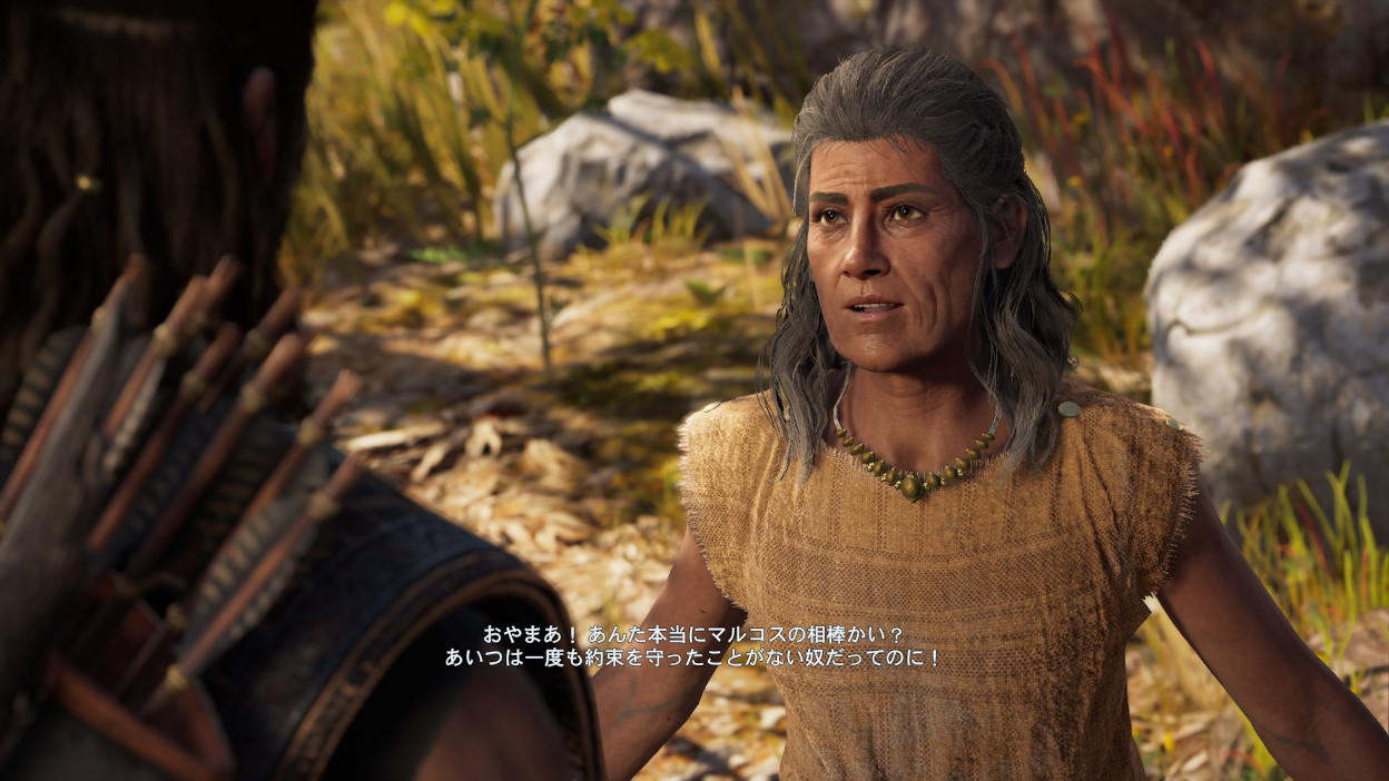 アサクリの写真