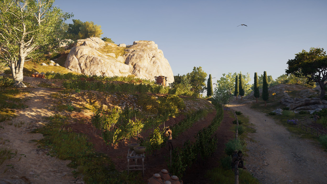 アサクリの写真